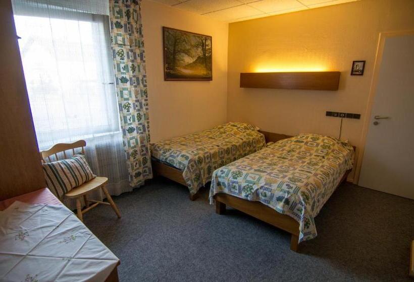 Номер Стандарт, Hôtel De Bâle
