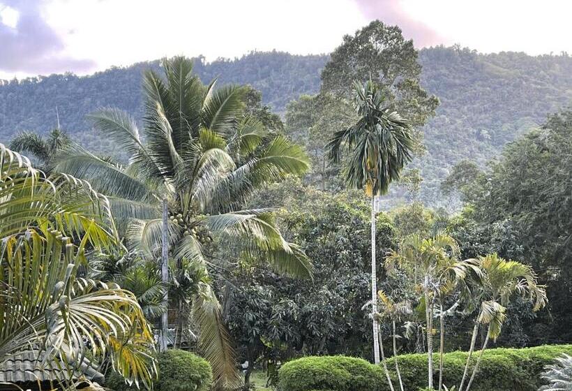 اتاق استاندارد با تخت بزرگ, Marilyn’s Resort Koh Samui