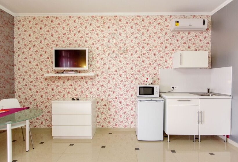 标准间, Amosov S House