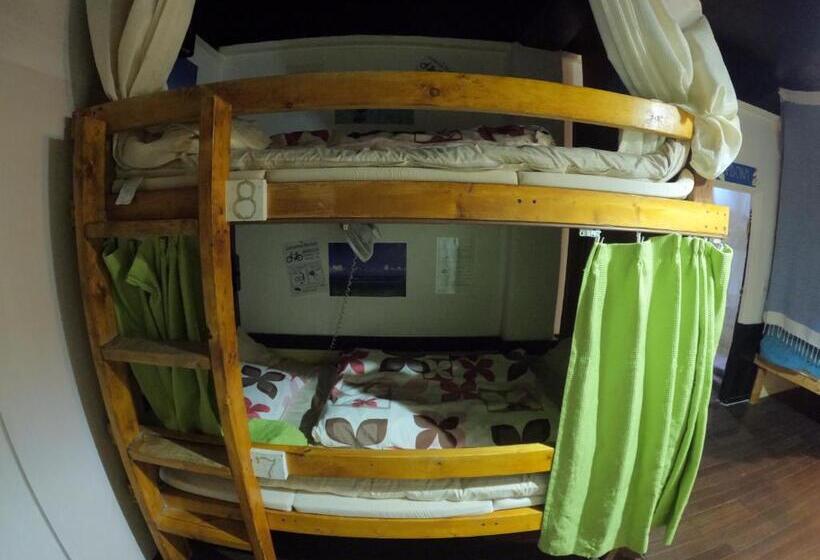 공동 객실, Zamamia International Guesthouse