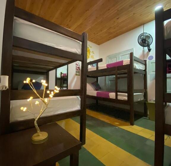 공동 객실, Boutique Stay La 10