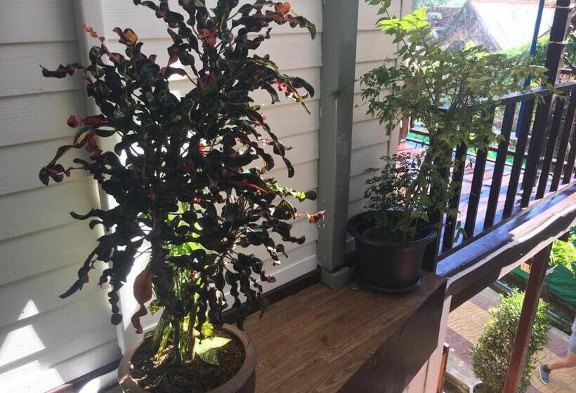 Номер Стандарт Трехместный, Coco S Guesthouse