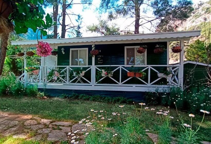 Трехместный Номер Классика, Naz Apart Cirali
