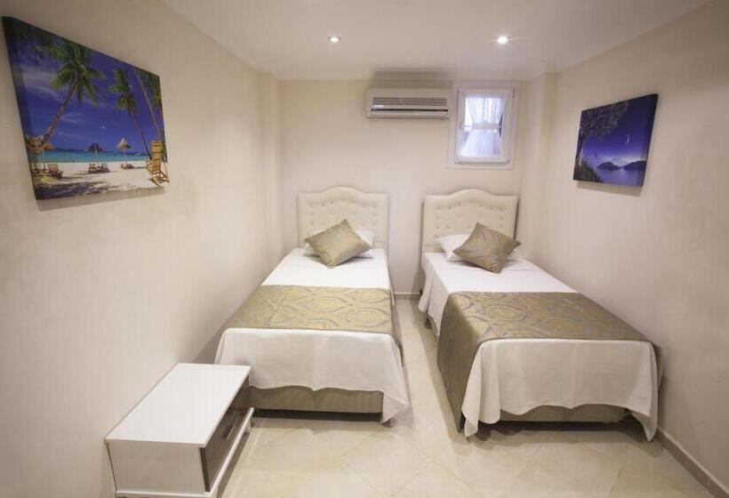 Апартаменты Дюплекс 1 Спальня, Anatolian Apartments