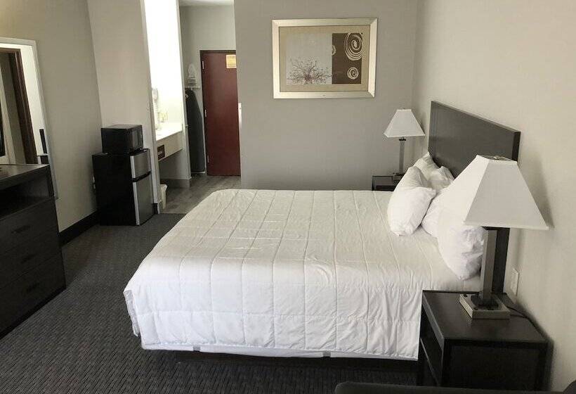 חדר סטנדרט יחיד מותאם לאדם עם מוגבלויות, Lea County Inn