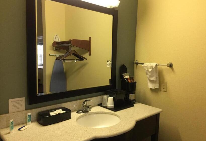 Стандартный Номер Кровать Кинг, Pearsall Inn And Suites