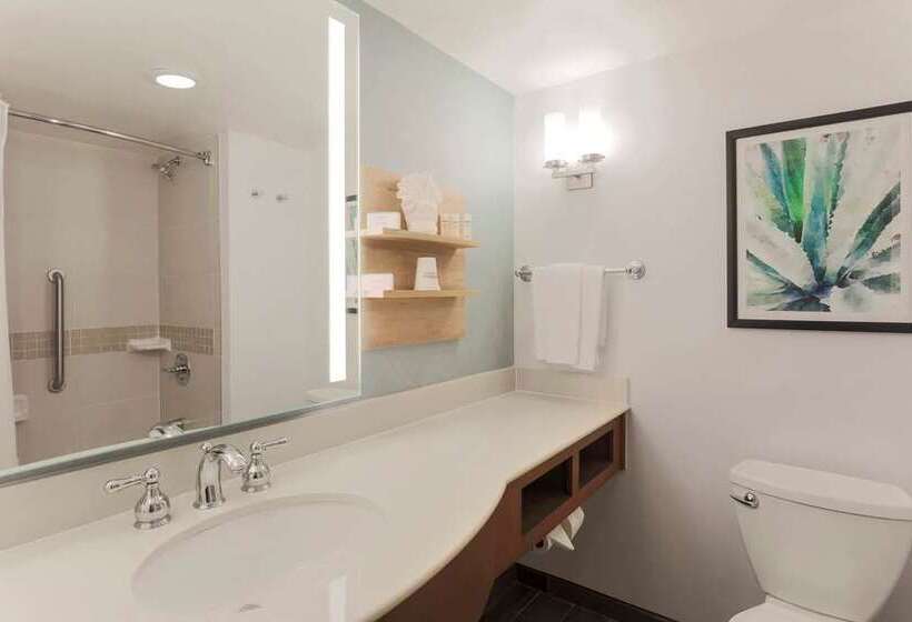 Номер Премиум, Canopy By Hilton Ithaca Downtown