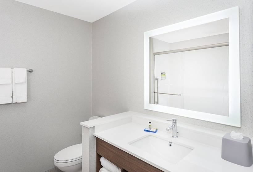 스위트, Holiday Inn Express & Suites   Hudson I 94, An Ihg