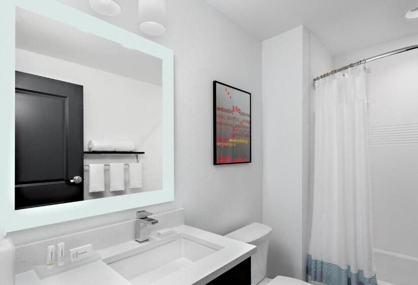 Студио Стандарт Кровать Кинг, Towneplace Suites By Marriott Loveland Fort Collins