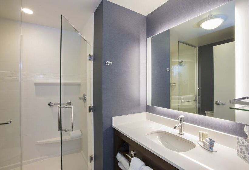Люкс, Residence Inn By Marriott Des Moines Ankeny