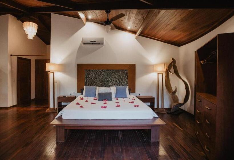بانگلوی لوکس, Paua Hotel Boutique