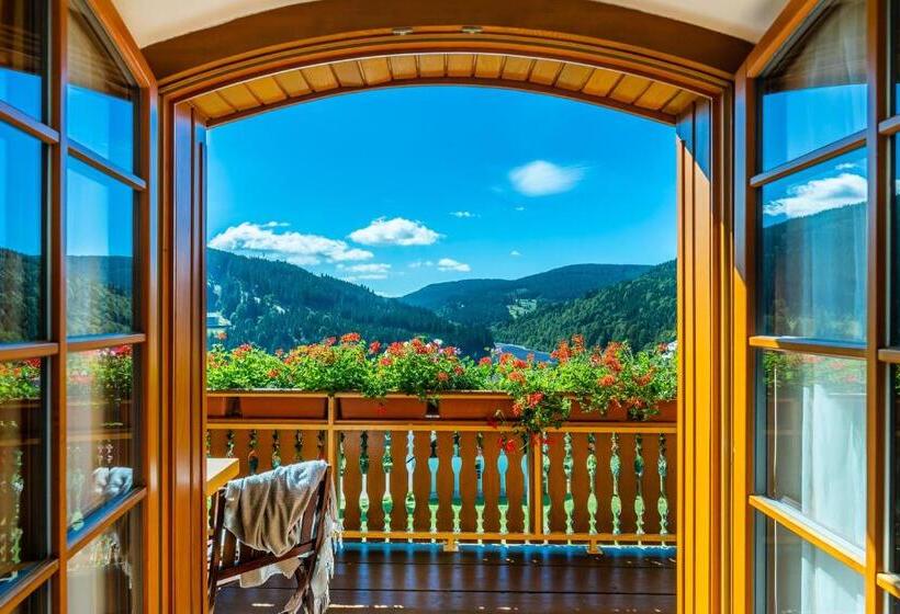 Номер Deluxe с Балконом, Pension Happy Superior