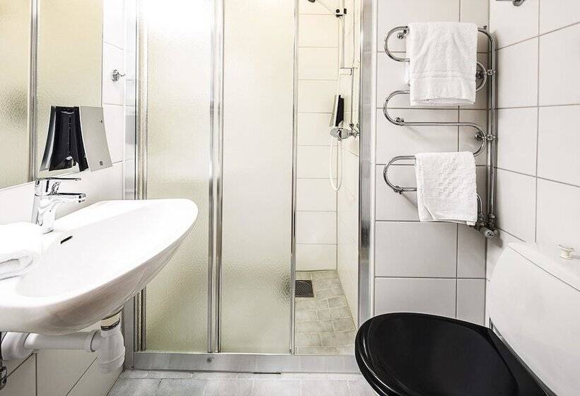 Номер Стандарт, Clarion Collection Hotel Bristol
