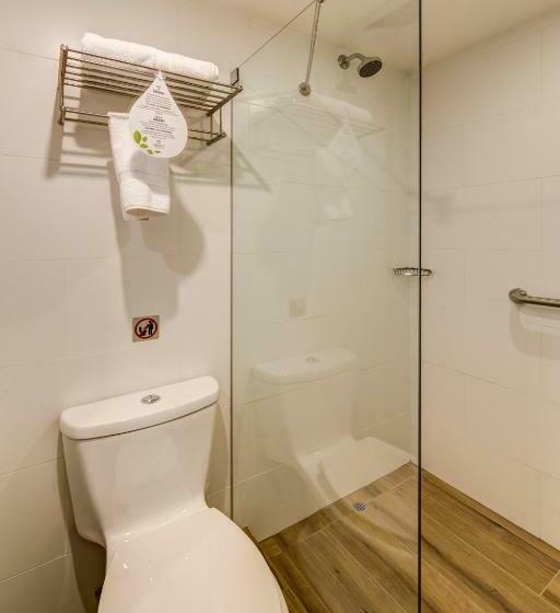 اتاق استاندارد با تخت بزرگ, Arawi Miraflores Express