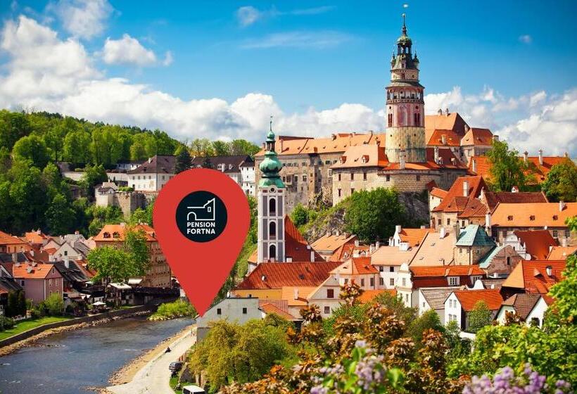 Номер Стандарт Вид на Сад, Pension Fortna