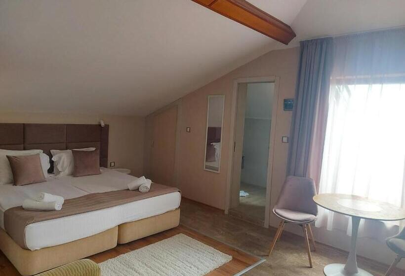 Номер Стандарт в Мансарде, Family Hotel Saint Nikola