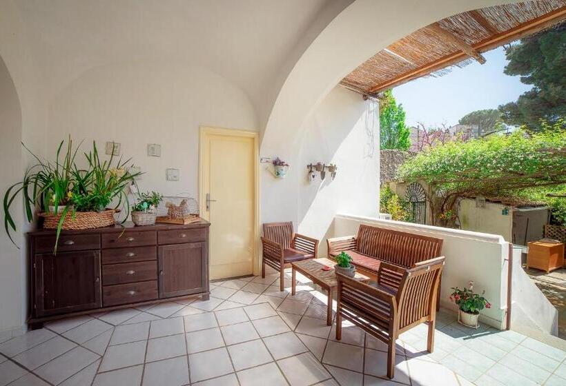 اتاق استاندارد, Mimi B&b