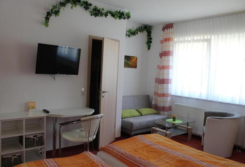 经济房, Pension Alscher Garni