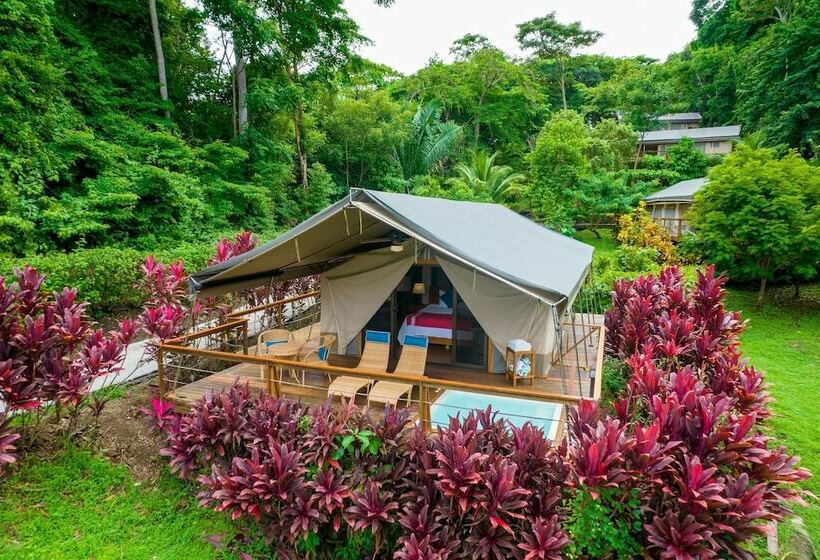 Premium Tent, Isla Chiquita Glamping