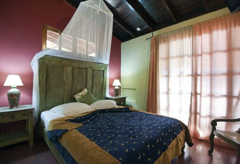 اتاق سوپریور, Casa San Francisco