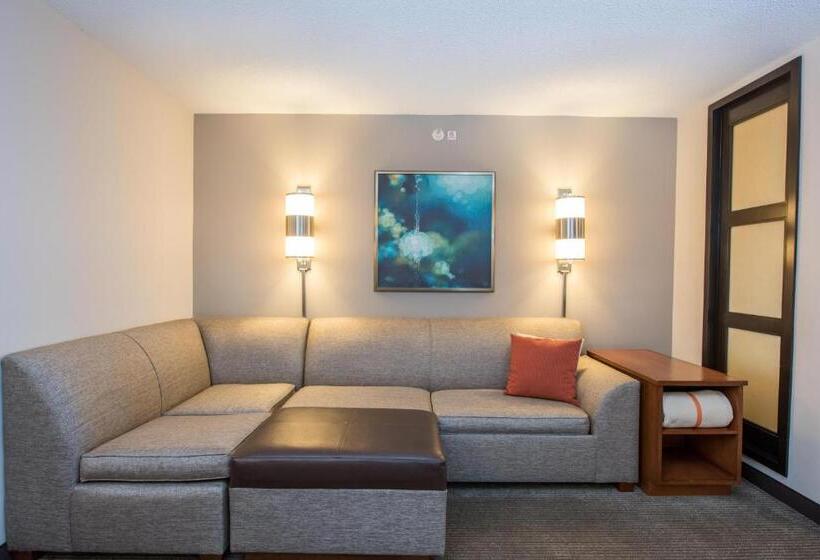 Номер Стандарт Кровать Кинг Адаптированный для Инвалидов, Hyatt Place Minneapolis Eden Prairie