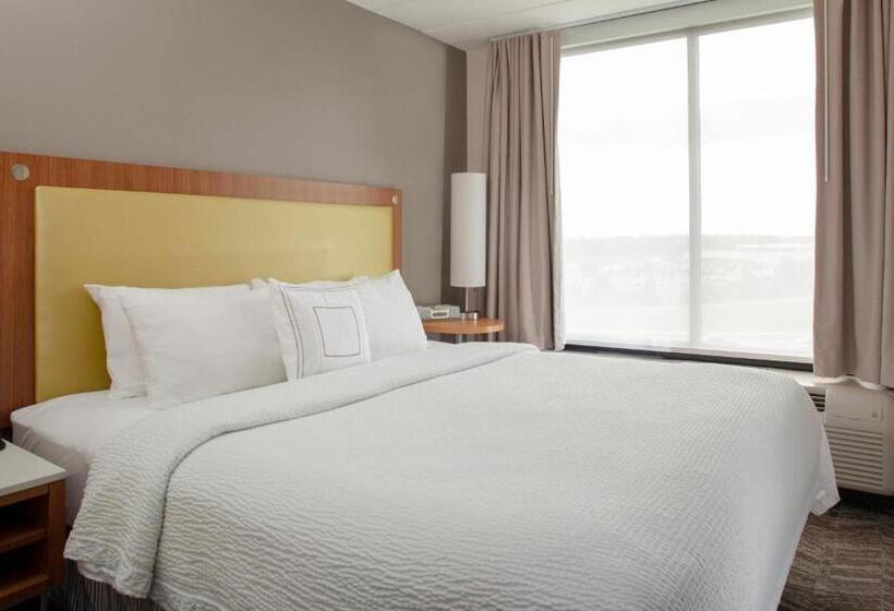 Студио Стандарт Кровать Кинг, Springhill Suites Cincinnati North Forest Park