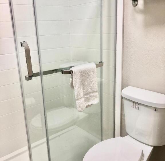 Номер Стандарт, Magnolia Motel Donaldsonville   St. James