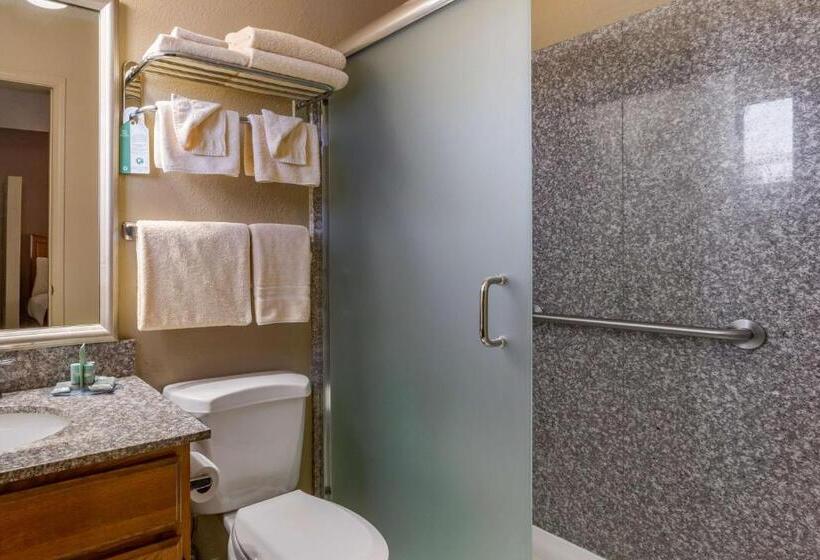 标准间, Best Western Canyon De Chelly Inn