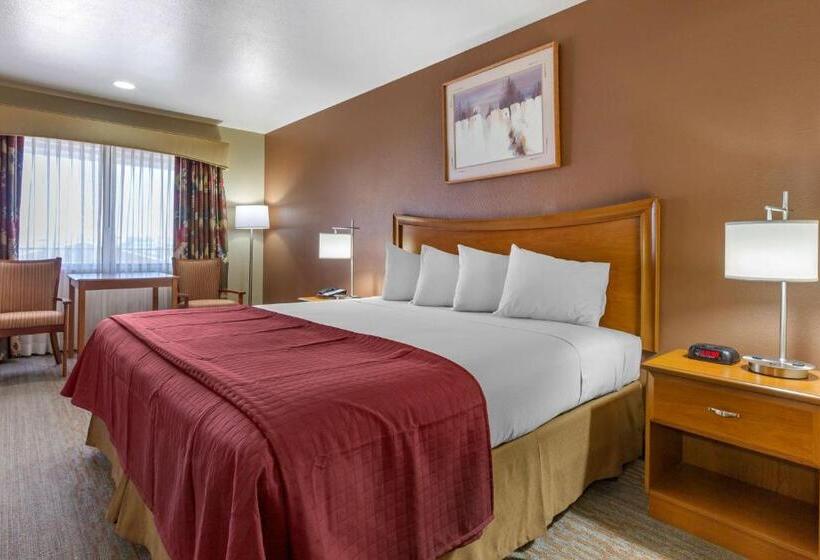 Стандартный Номер Кровать Кинг, Best Western Canyon De Chelly Inn