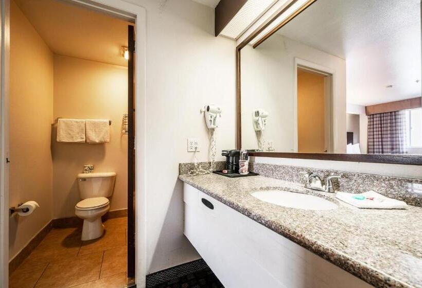 Номер Стандарт, City Creek Inn & Suites