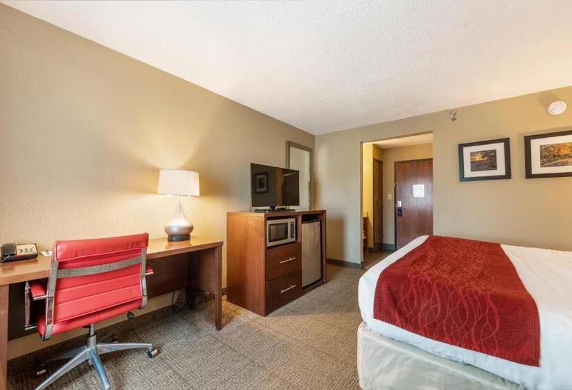 Quarto Estandar Cama King, Comfort Inn Mayfield Heights Cleveland East