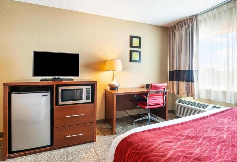 Стандартный Номер Кровать Кинг, Comfort Inn Mayfield Heights Cleveland East