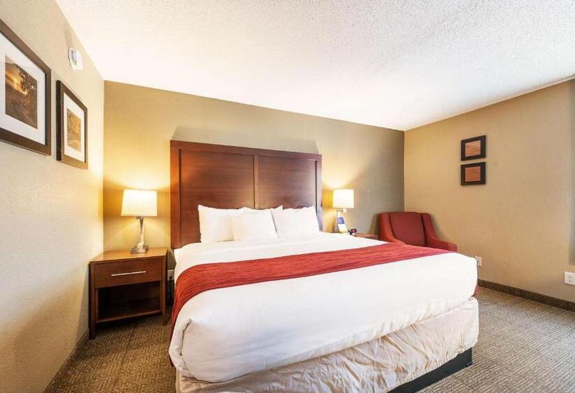 Стандартный Номер Кровать Кинг, Comfort Inn Mayfield Heights Cleveland East