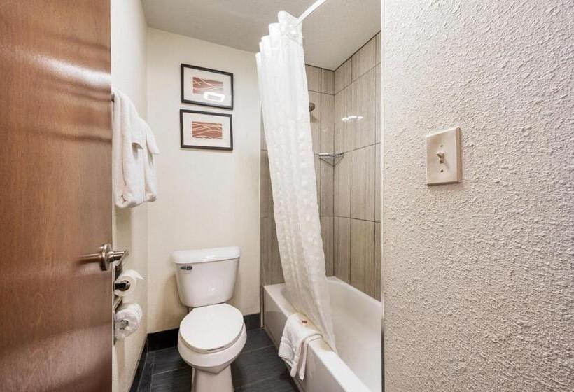Quarto Estandar, Comfort Inn Mayfield Heights Cleveland East