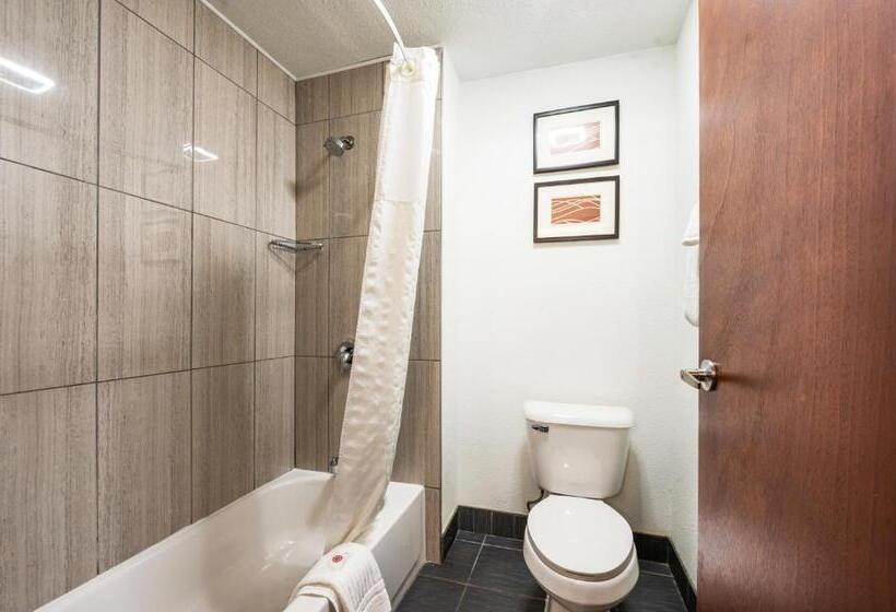 Quarto Estandar, Comfort Inn Mayfield Heights Cleveland East