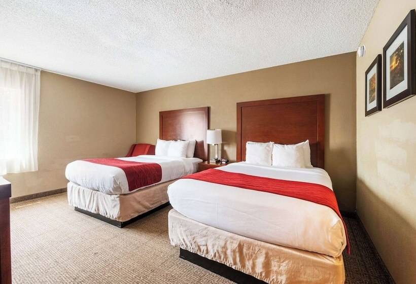 Quarto Estandar 2 Camas Casal, Comfort Inn Mayfield Heights Cleveland East