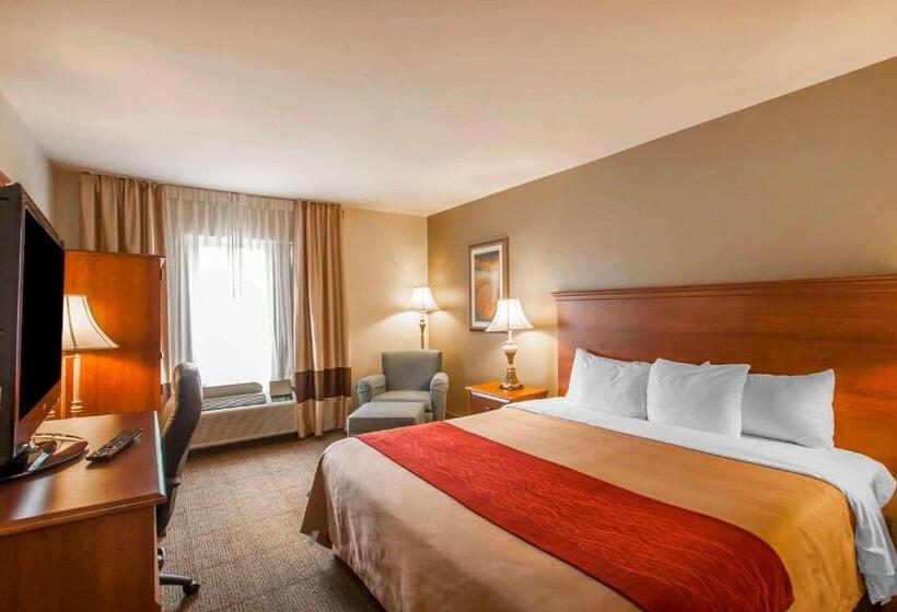 带大床的套房, Quality Inn & Suites Germantown North