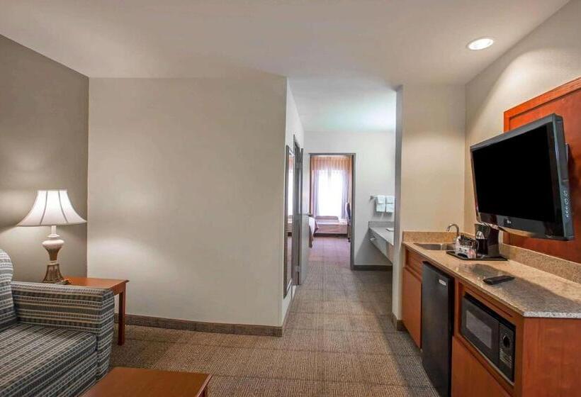 带大床的套房, Quality Inn & Suites Germantown North