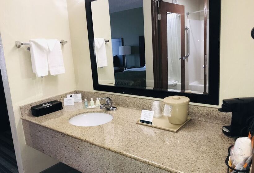 اتاق استاندارد با 2 تخت دوبل, Quality Inn & Suites