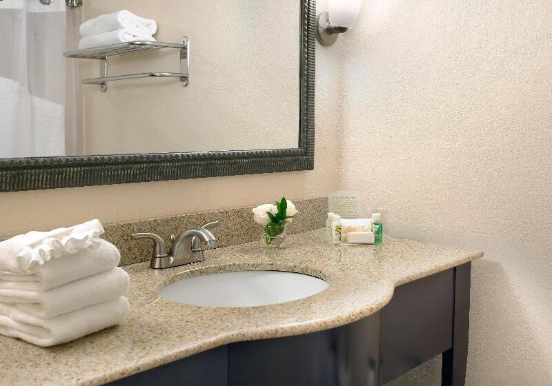 חדר סטנדרט עם מיטת קינג, Holiday Inn Miami Beachoceanfront, An Ihg