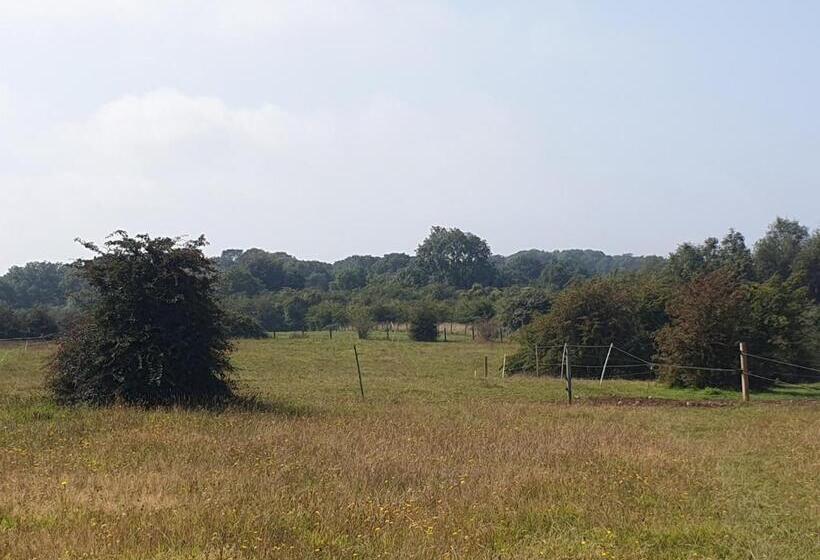 Quarto Deluxe Cama King, Open Acres Accommodation And Airport Parking