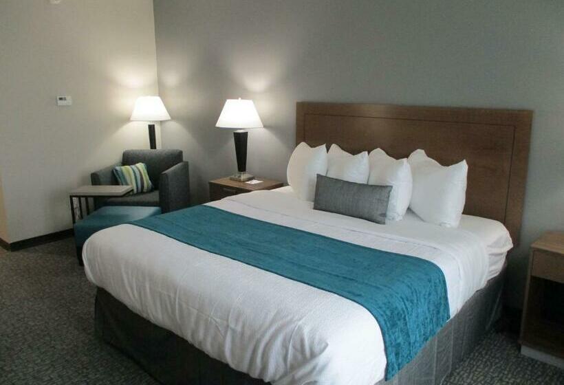 스탠다드 룸 킹사이즈 침대, Best Western Plus Executive Residency Marion
