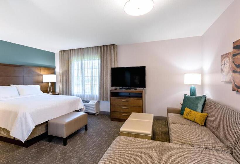 スタンダードスタジオ, Staybridge Suites   Fort Lauderdale Airport   West, An Ihg