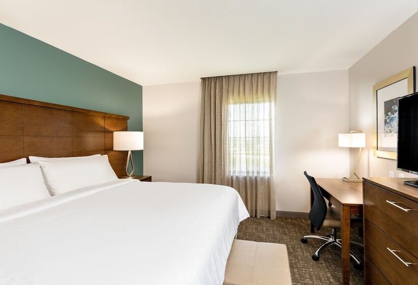 スイート, Staybridge Suites   Fort Lauderdale Airport   West, An Ihg