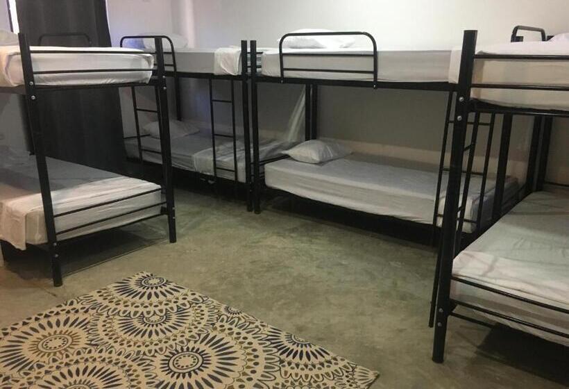 共用房间的床, El Gato Rojas Surf Hostel