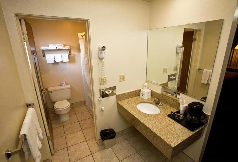 스탠다드 룸, Americas Best Value Inn Roosevelt/ballard
