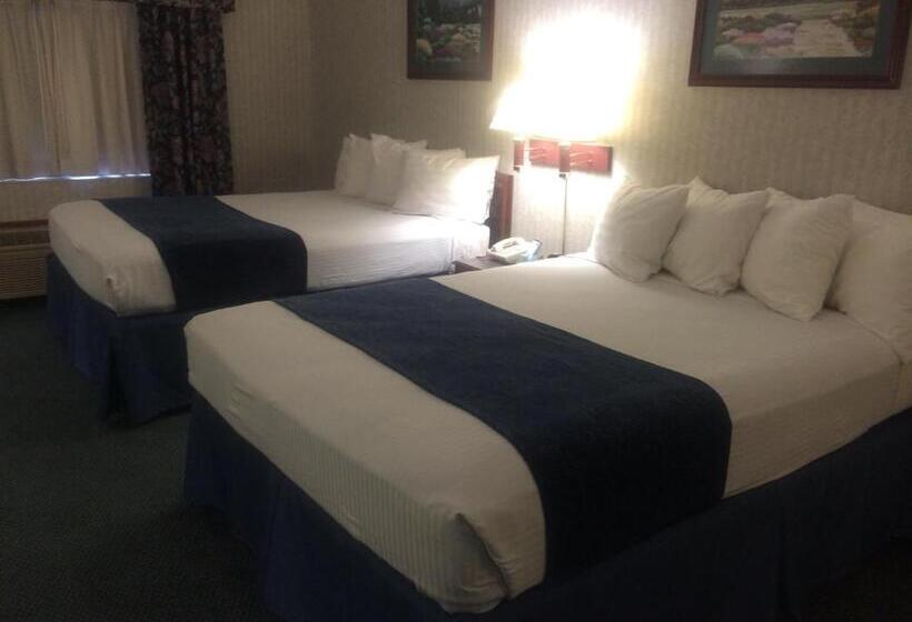 Standart Oda, Best Western Elkhart Inn & Suites