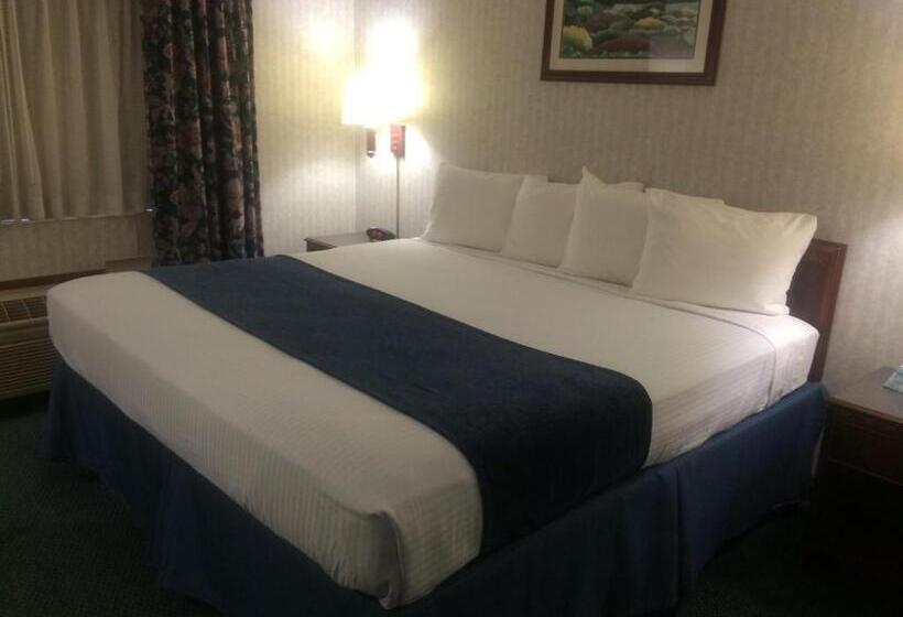 Engelliler için Büyük Çift Kişilik Yataklı Standart Oda, Best Western Elkhart Inn & Suites