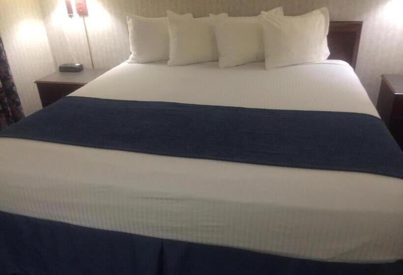 Büyük Çift Kişilik Yataklı Standart Oda, Best Western Elkhart Inn & Suites