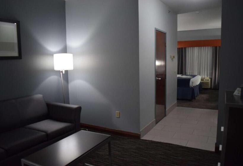 Büyük Çift Kişilik Yataklı Süit, Best Western Elkhart Inn & Suites